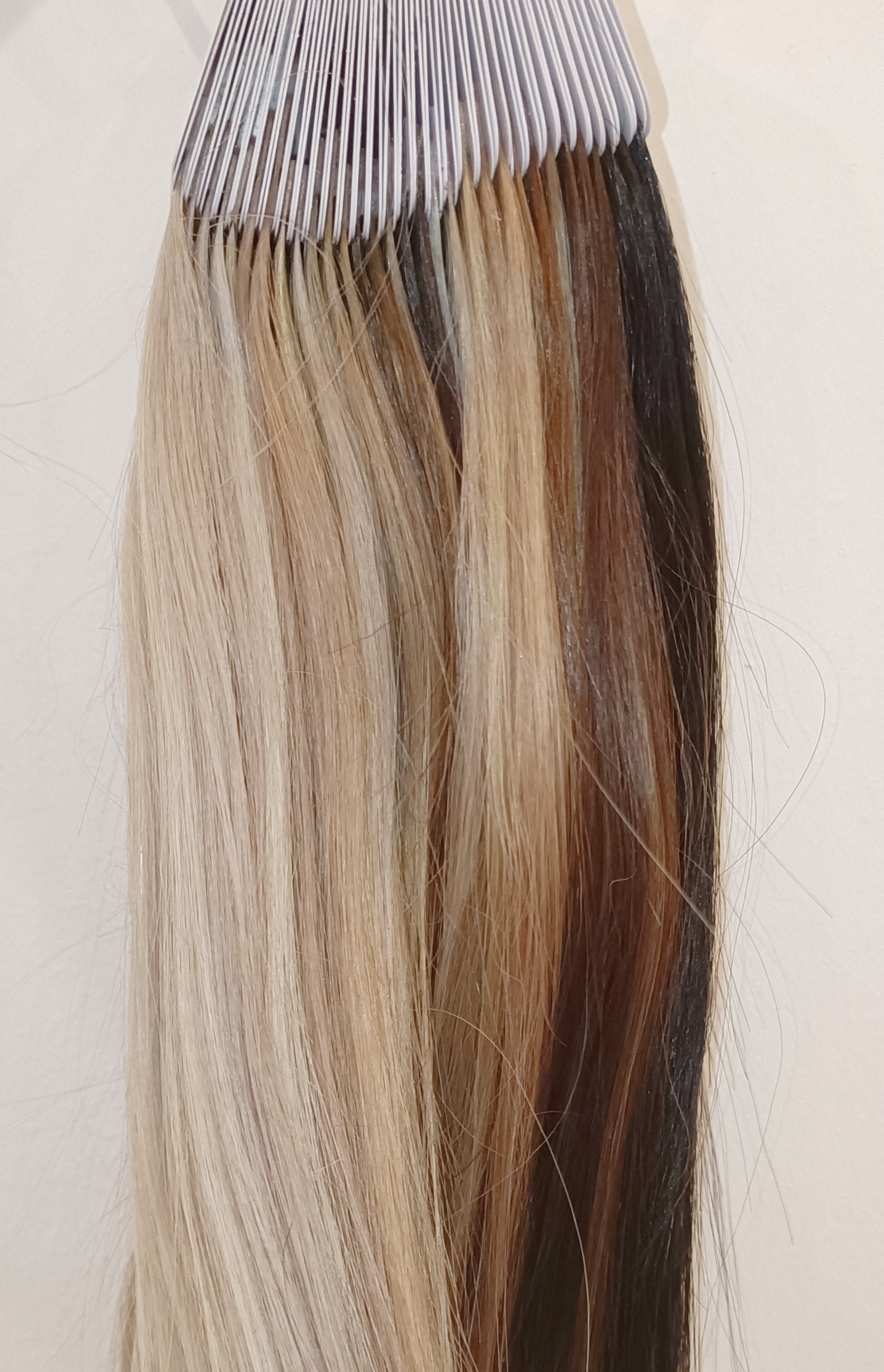 2025 Professional Colour Ring