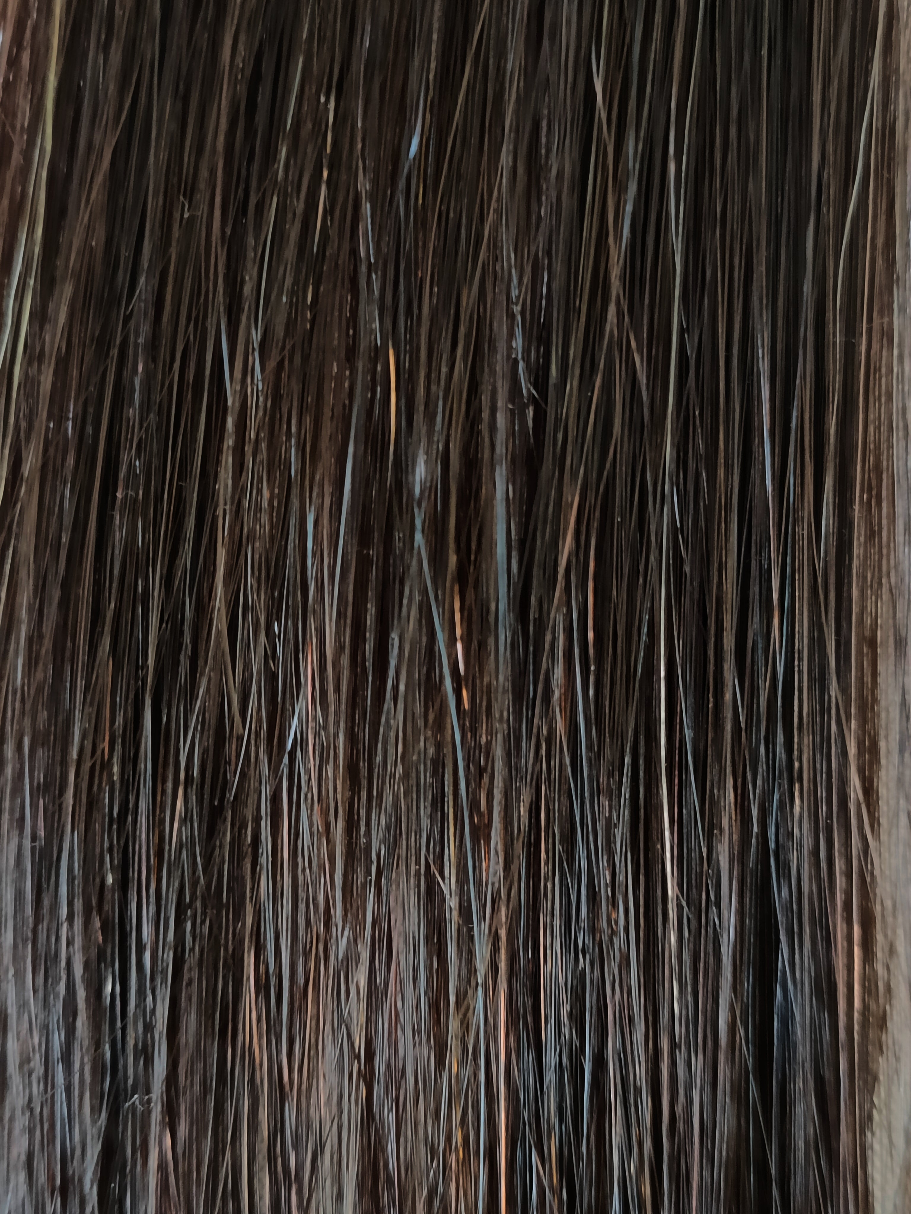 20" Mini U-Tips - 40 Grams - Mocha