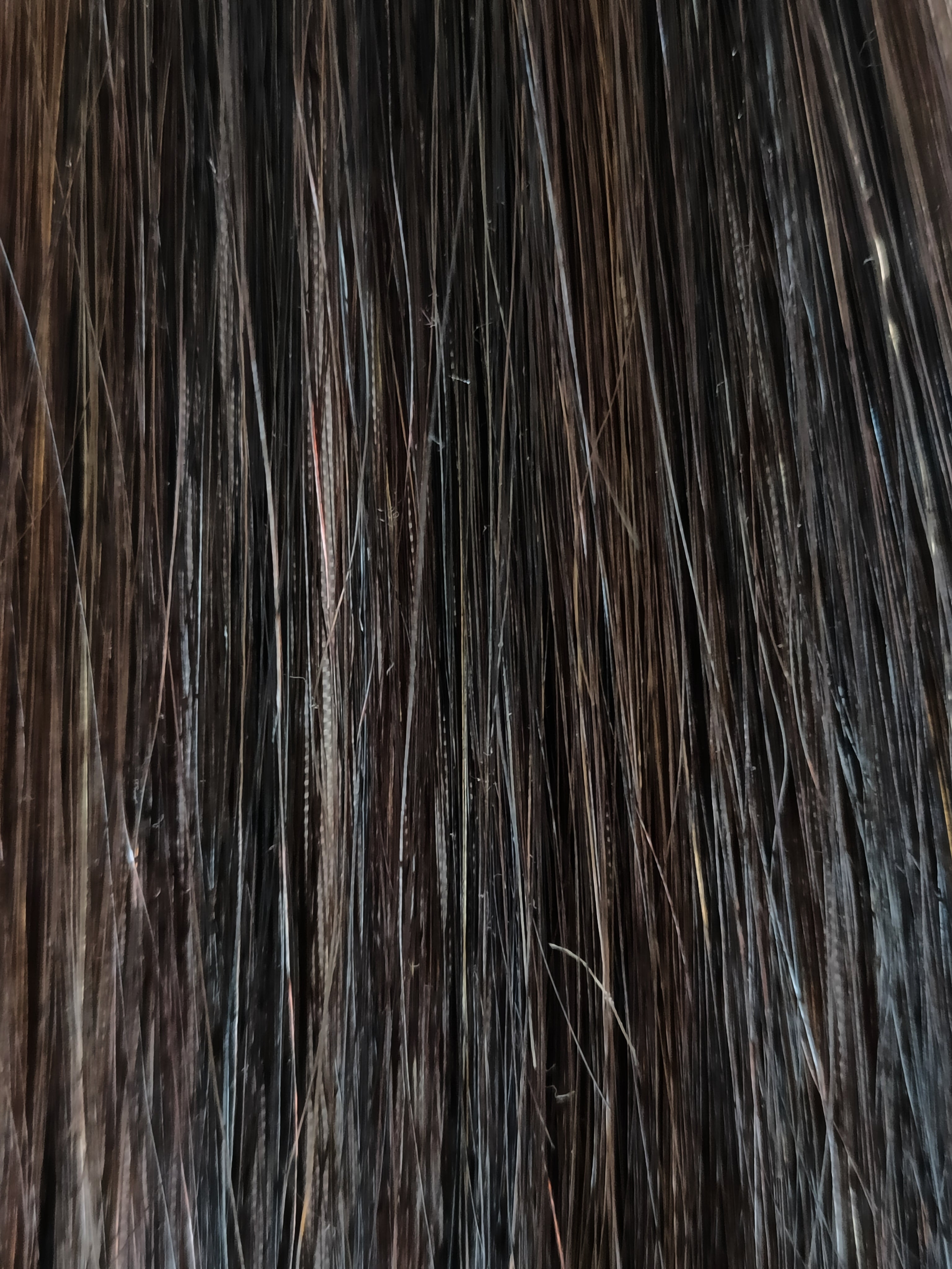 20" Tape N'Go - 50 Grams - Brunette